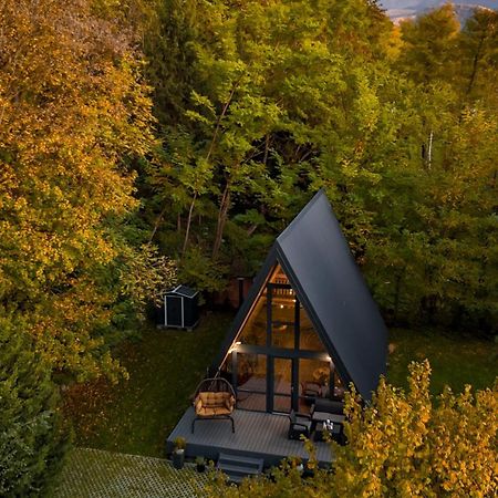 Aret House Villa Avrig Exterior foto